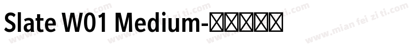 Slate W01 Medium字体转换